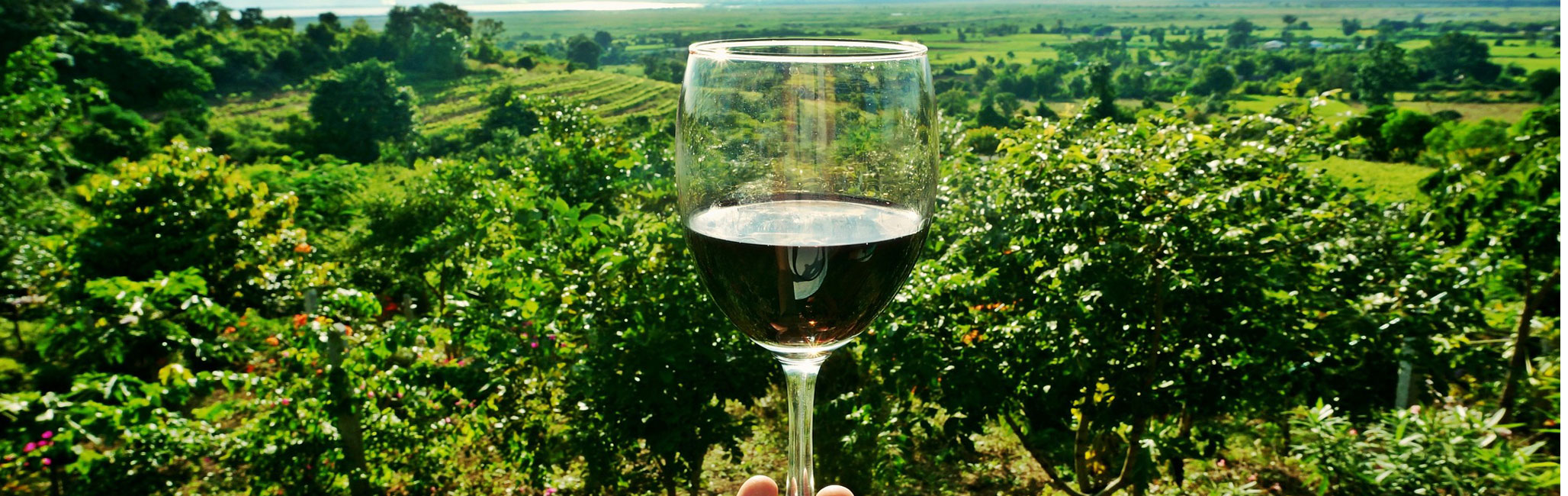 Sedona-Wine-Tasting-Tour